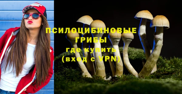 мяу мяу кристалл Бородино