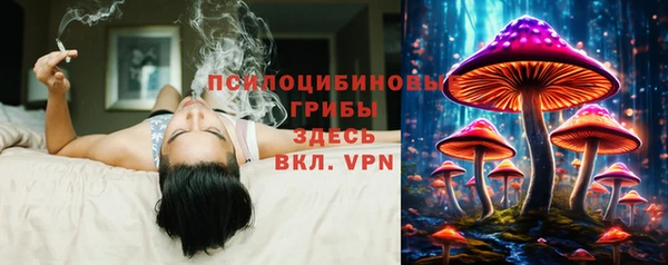 ПСИЛОЦИБИНОВЫЕ ГРИБЫ Бронницы