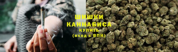 ПСИЛОЦИБИНОВЫЕ ГРИБЫ Бронницы